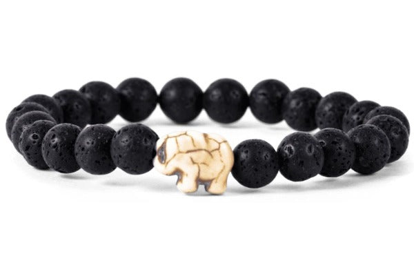 Fahlo joined forces with Save the Elephants to launch The Expedition Bracelet, allowing customers to track a wild elephant