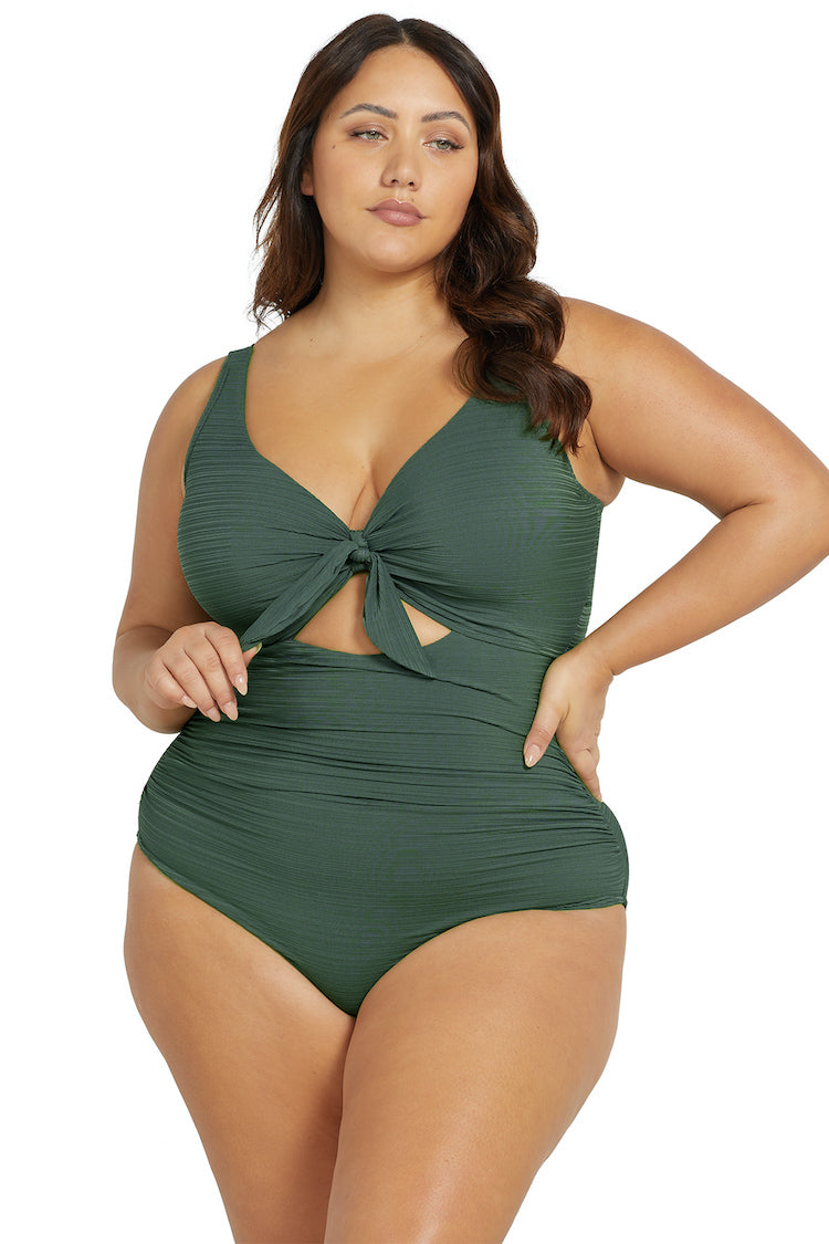 Aria Cezanne D / DD Cup Underwire One Piece Swimsuit