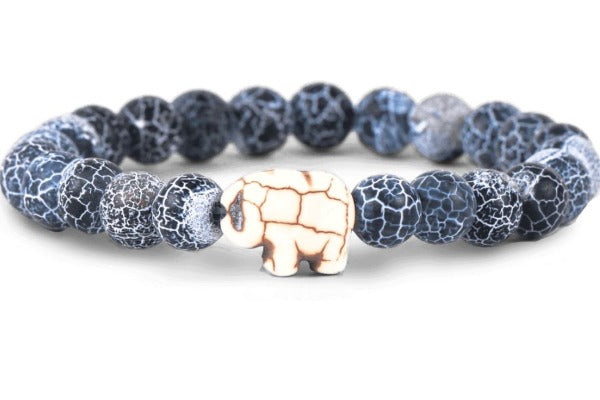 Fahlo joined forces with Save the Elephants to launch The Expedition Bracelet, allowing customers to track a wild elephant