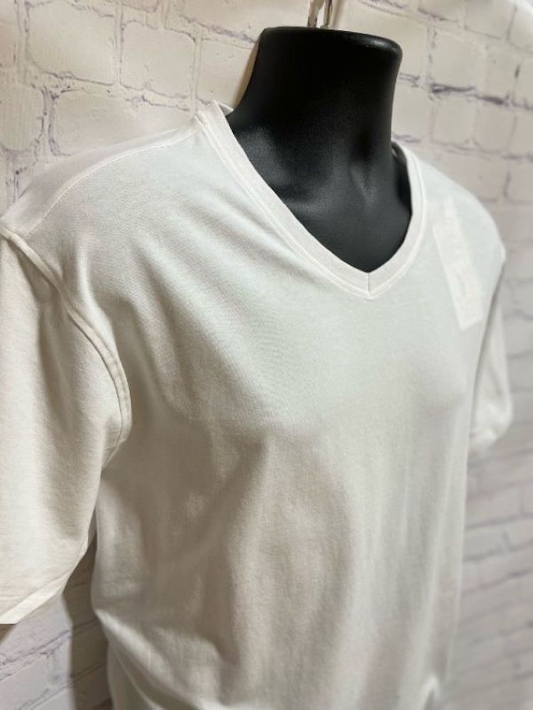 V-Neck T-Shirt