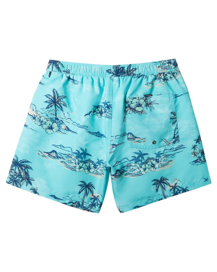 Everyday Mix 17" Swim Trunks